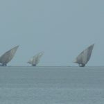 Das Bild zeigt drei größere Segelschiffe auf einem See. Die Segel sind ungewöhlicherweise sehr groß und wie ein Dreieck, das vom Betrachter aus leicht nach rechts geneigt sind.